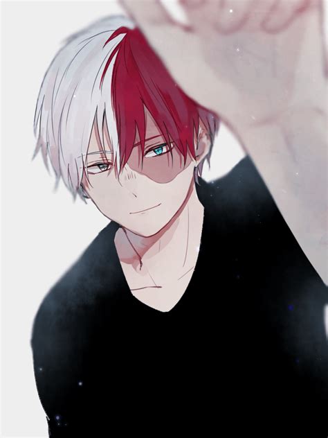 cute todoroki|210 Cute Todoroki ideas 